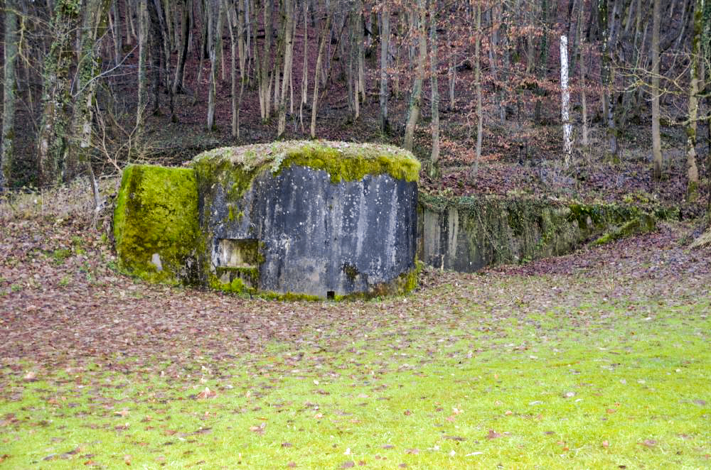 Ligne Maginot - OLTINGUE NORD 1 - (Blockhaus pour arme infanterie) - Vue sur le créneau mitrailleuse - D. Froehly