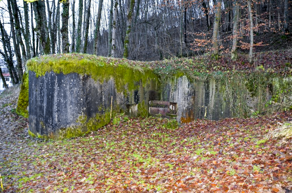 Ligne Maginot - OLTINGUE NORD 1 - (Blockhaus pour arme infanterie) - Vue sur l'entrée. La  porte blindée est encadrée par deux créneaux de tir FM - D. Froehly