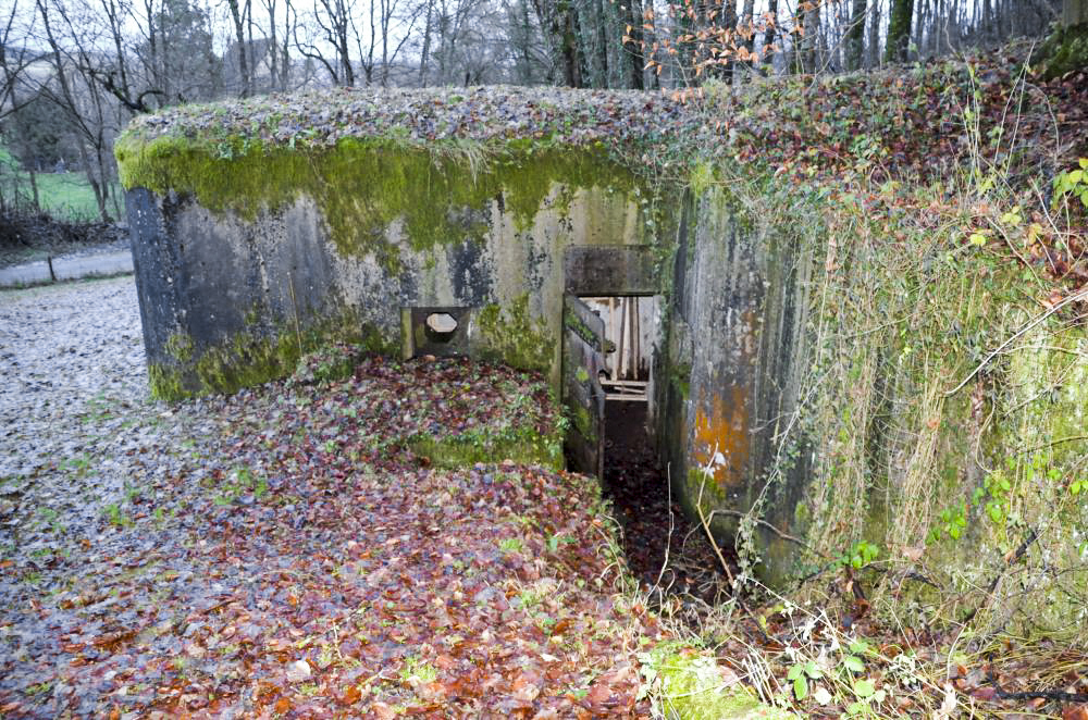 Ligne Maginot - OLTINGUE NORD 1 - (Blockhaus pour arme infanterie) - L’accès à la porte se fait par l'un des deux escaliers, l'un dans le prolongement de la porte l'autre à gauche devant le créneau de tir FM - D. Froehly