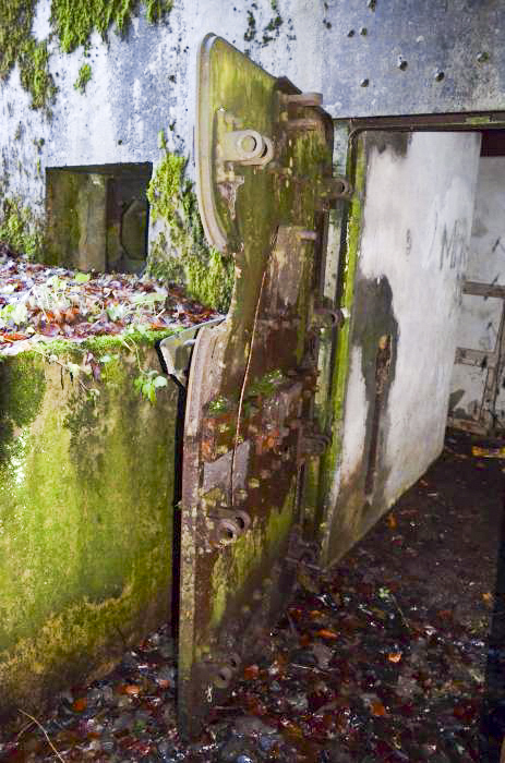 Ligne Maginot - OLTINGUE NORD 1 - (Blockhaus pour arme infanterie) -  - D. Froehly