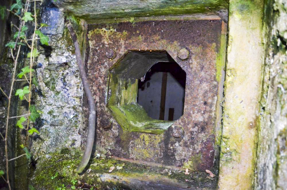 Ligne Maginot - OLTINGUE NORD 1 - (Blockhaus pour arme infanterie) - Créneau FM - D. Froehly