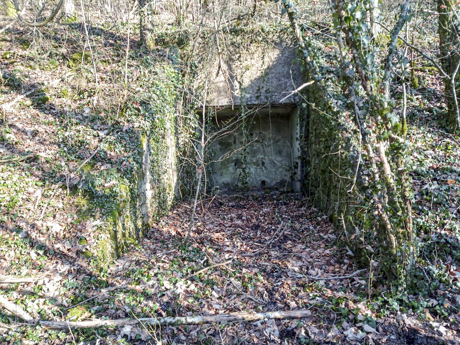 Ligne Maginot - VELOSNES - (Ouvrage d'artillerie) - A coté de la route vers l'entrée
Une niche de stockage - Marc Fossoul