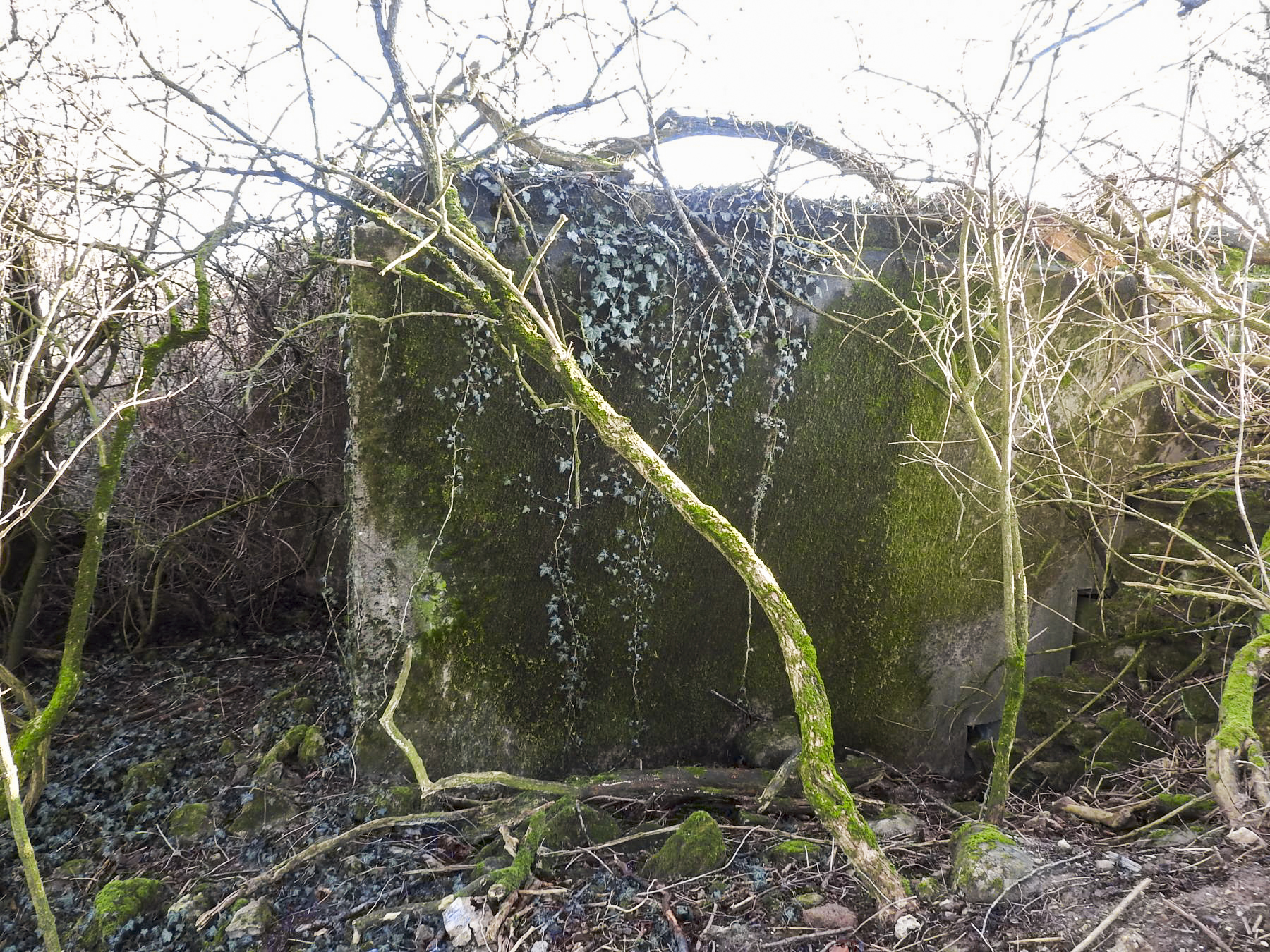 Ligne Maginot - KLEIBORN NORD - (Blockhaus pour canon) -  - STENGER Mathieu