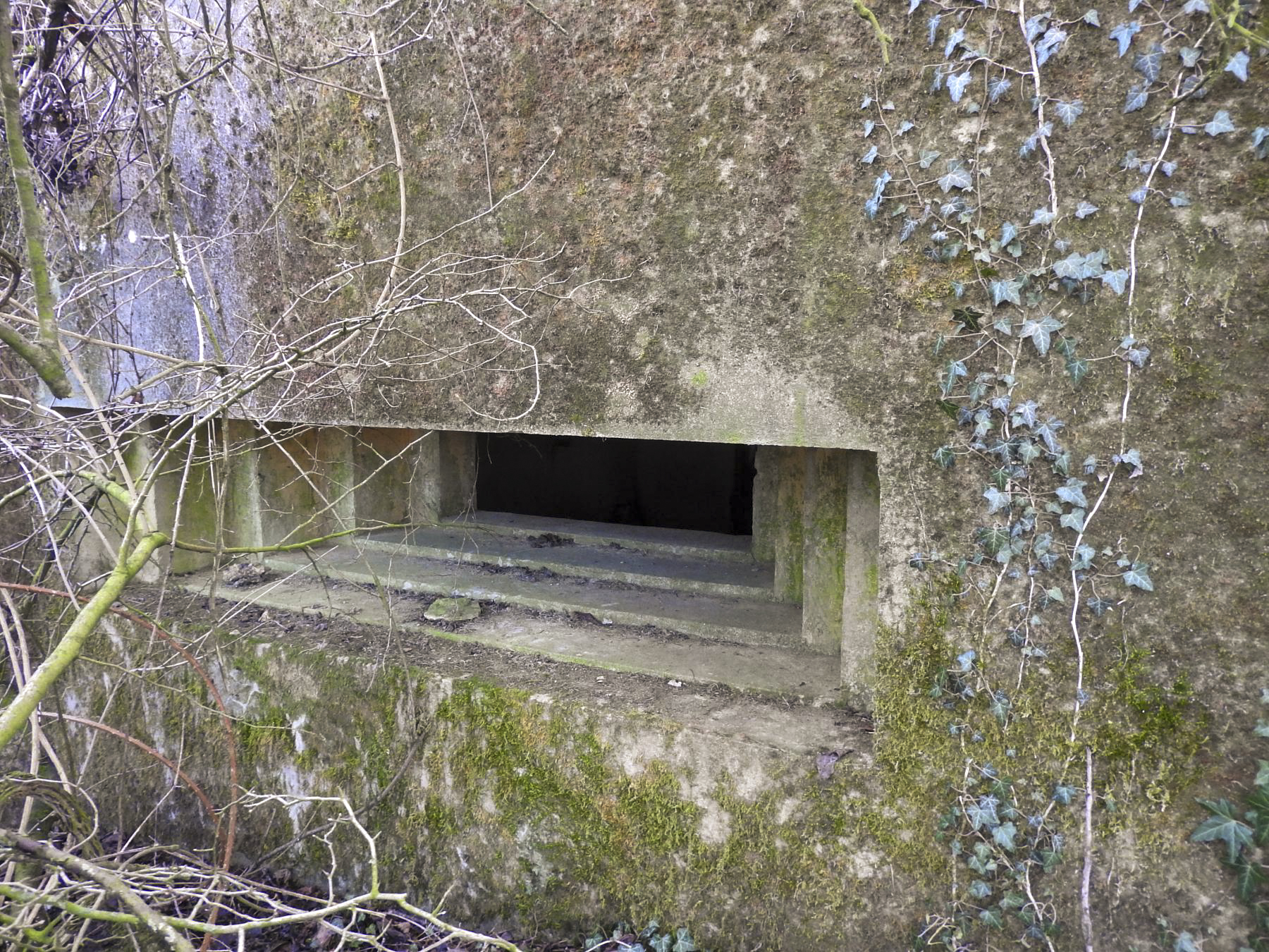 Ligne Maginot - KLEIBORN NORD - (Blockhaus pour canon) - La façade de tir du blockhaus. - STENGER Mathieu