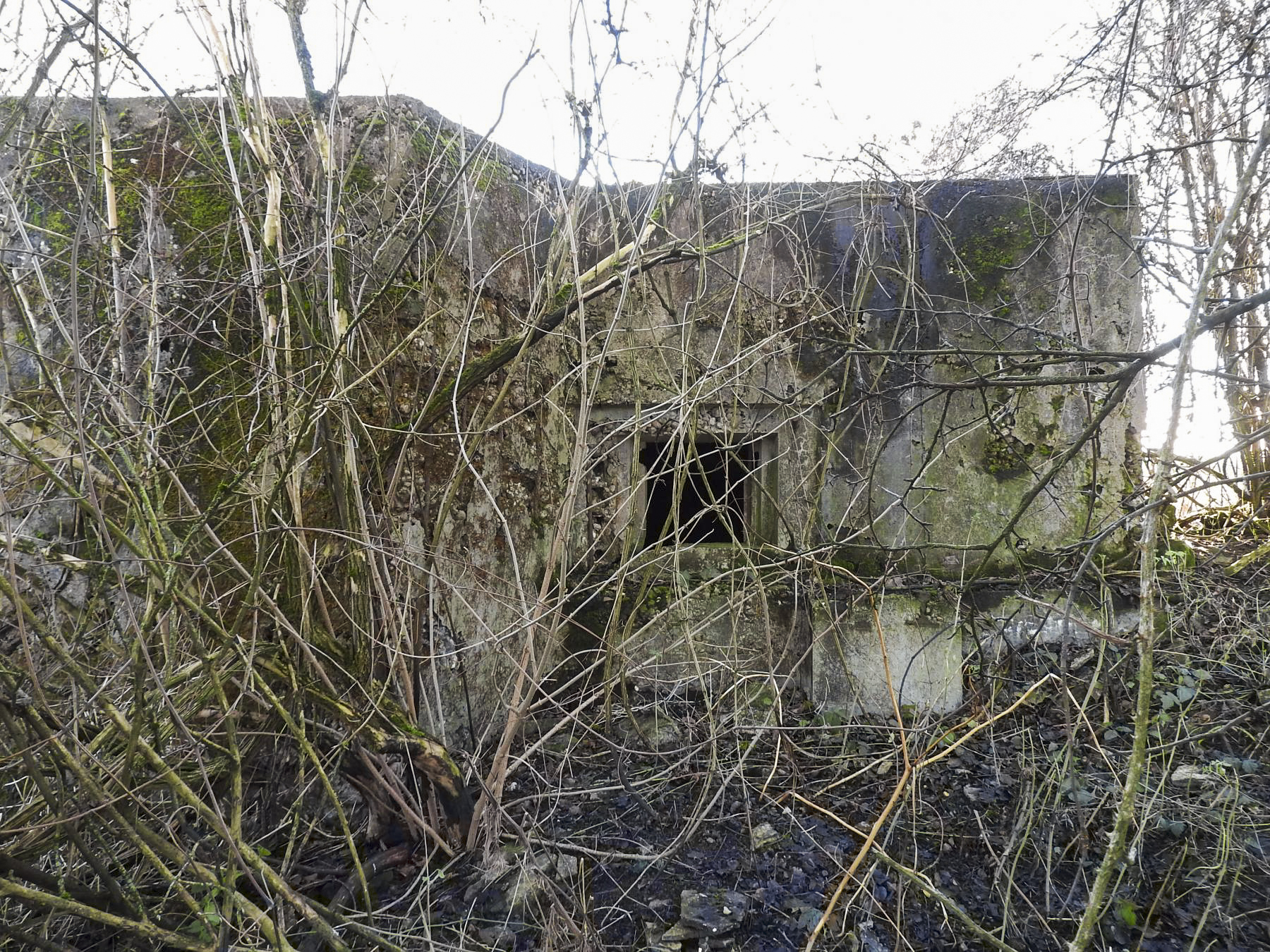 Ligne Maginot - KLEIBORN SUD - (Blockhaus pour arme infanterie) - La façade de tir. - STENGER Mathieu