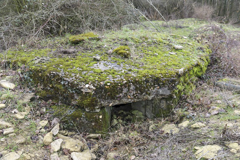 Ligne Maginot - MORTENKRUPP  - (Blockhaus pour arme infanterie) -      - Alain Perouffe