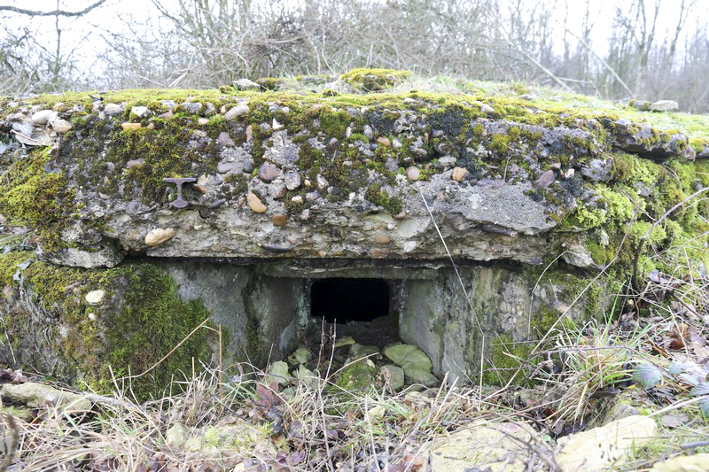 Ligne Maginot - MORTENKRUPP  - (Blockhaus pour arme infanterie) -        - Alain Perouffe