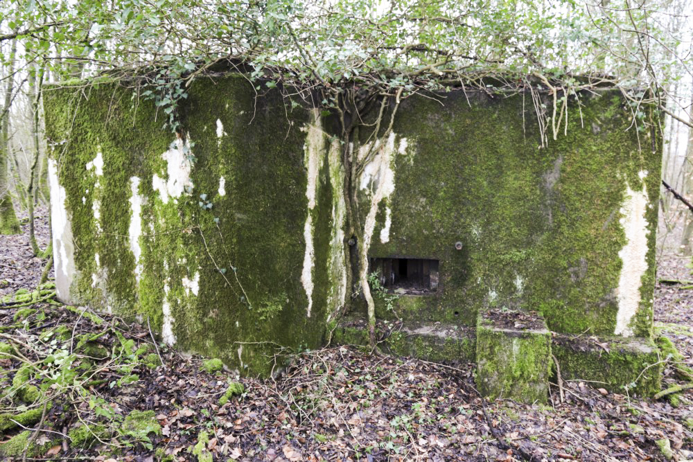 Ligne Maginot - MORTENKRUPP SUD - (Blockhaus pour arme infanterie) -       - Alain Perouffe