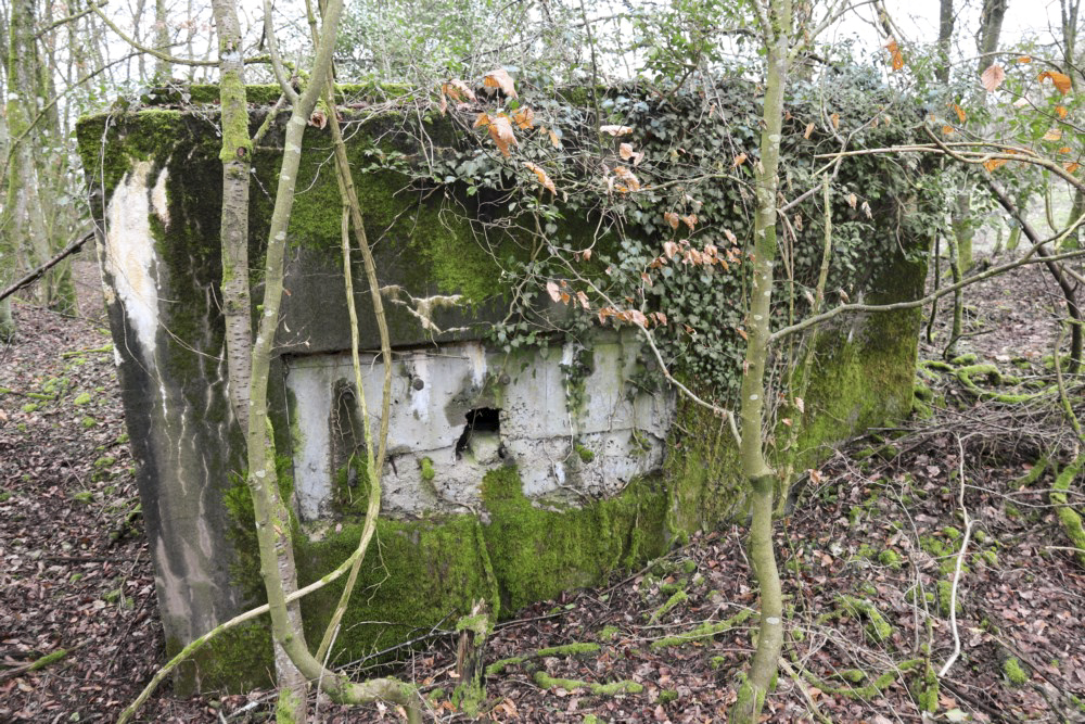 Ligne Maginot - MORTENKRUPP SUD - (Blockhaus pour arme infanterie) -        - Alain Perouffe