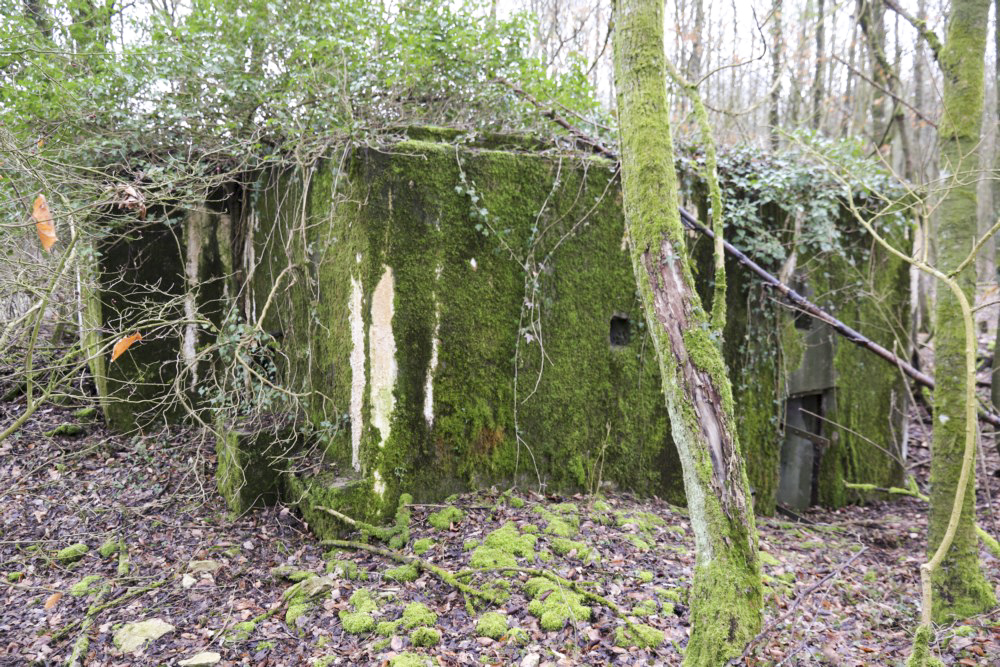 Ligne Maginot - MORTENKRUPP SUD - (Blockhaus pour arme infanterie) -      - Alain Perouffe