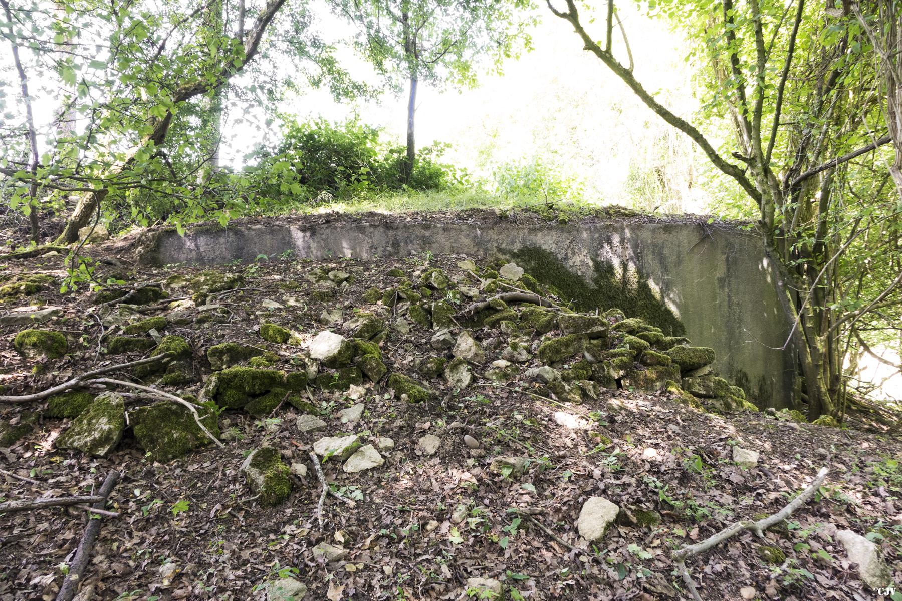 Ligne Maginot - PETERSHECKE 3 - (Blockhaus pour arme infanterie) - La face arrière - Lia VERMEULEN