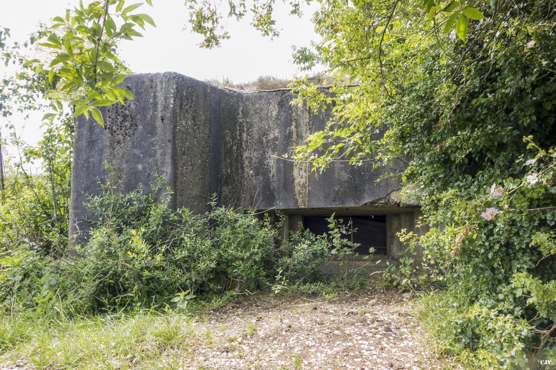 Ligne Maginot - SCHAEFFEREI 2 - (Blockhaus pour canon) -  - Lia VERMEULEN