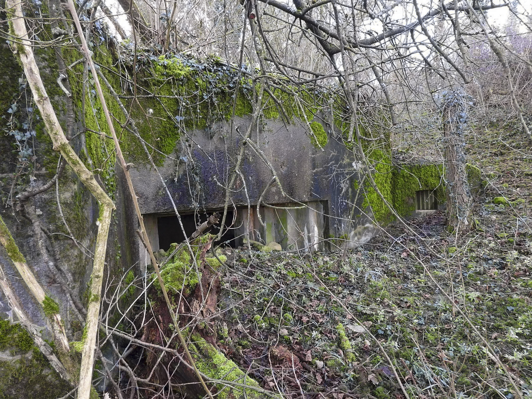 Ligne Maginot - VERTH - (Blockhaus pour canon) - La façade de tir du blockhaus pour un canon anti-char et un FM. - STENGER Mathieu