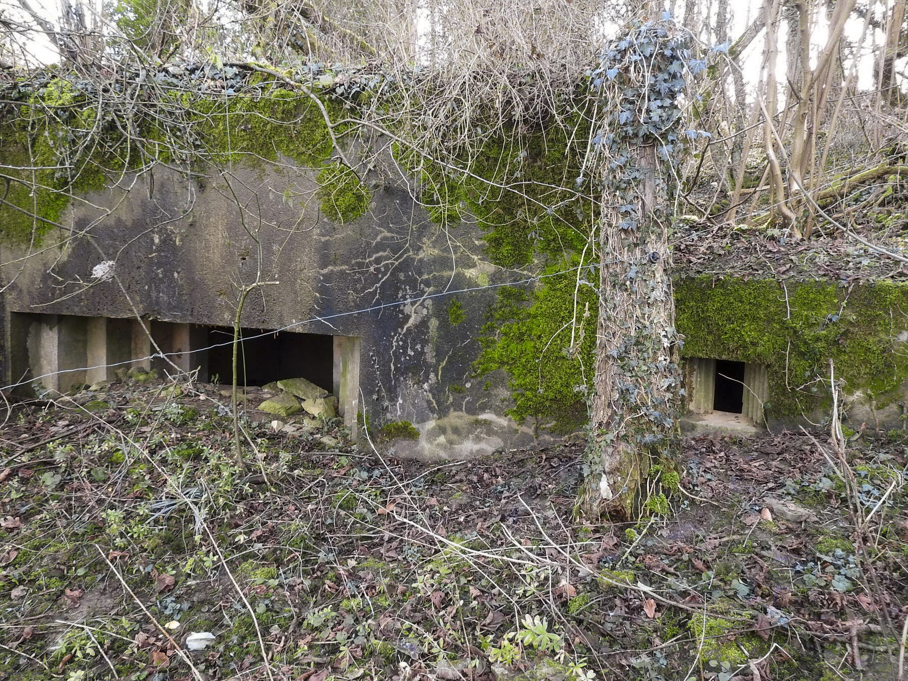 Ligne Maginot - VERTH - (Blockhaus pour canon) - La façade de tir du blockhaus pour un canon anti-char et un FM. - STENGER Mathieu