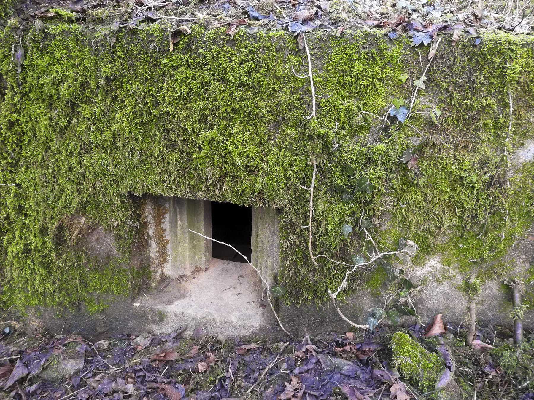 Ligne Maginot - VERTH - (Blockhaus pour canon) - Le créneau pour FM. - STENGER Mathieu