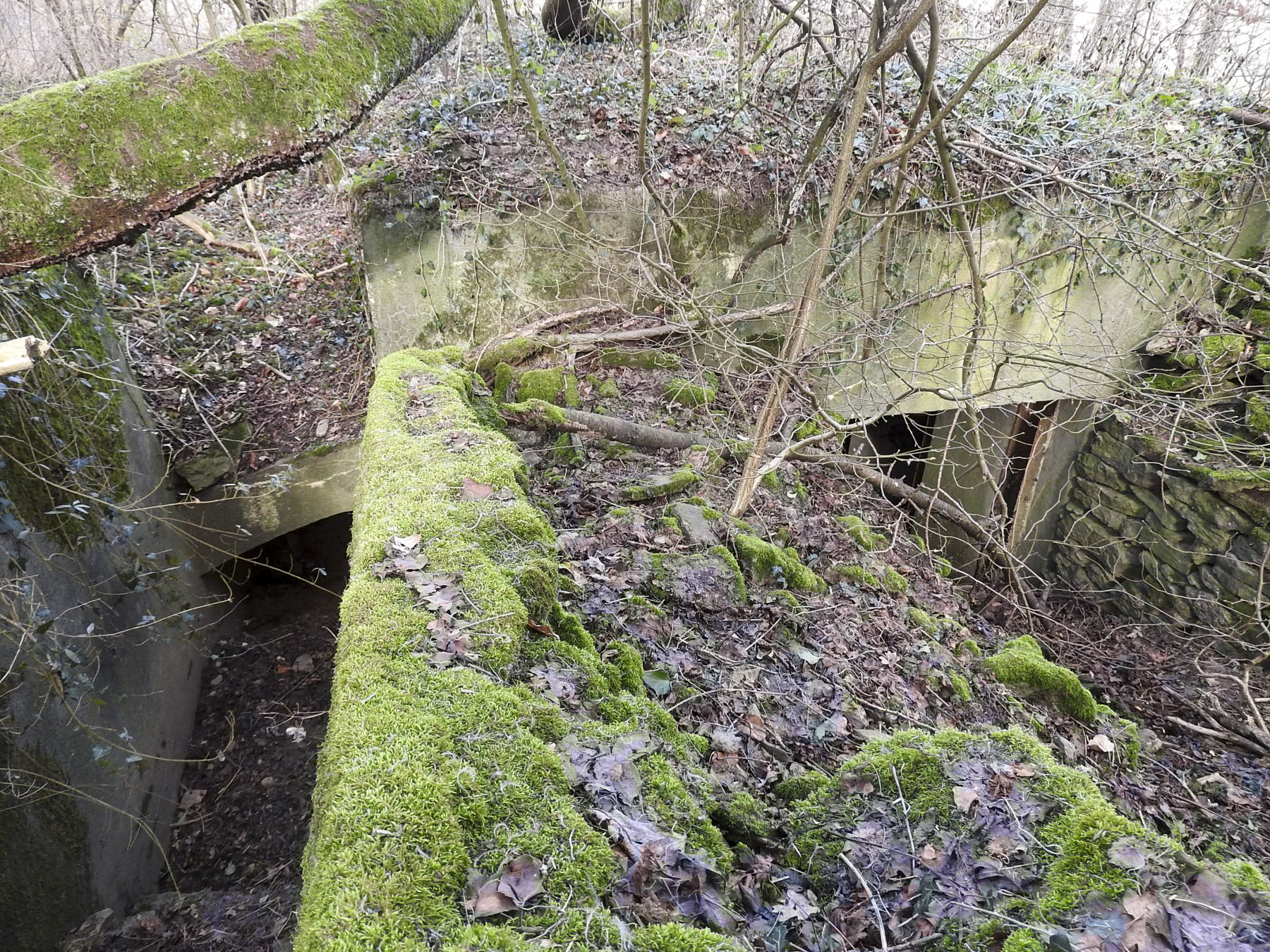 Ligne Maginot - VERTH - (Blockhaus pour canon) - La façade arrière et les entrées du blockhaus. - STENGER Mathieu