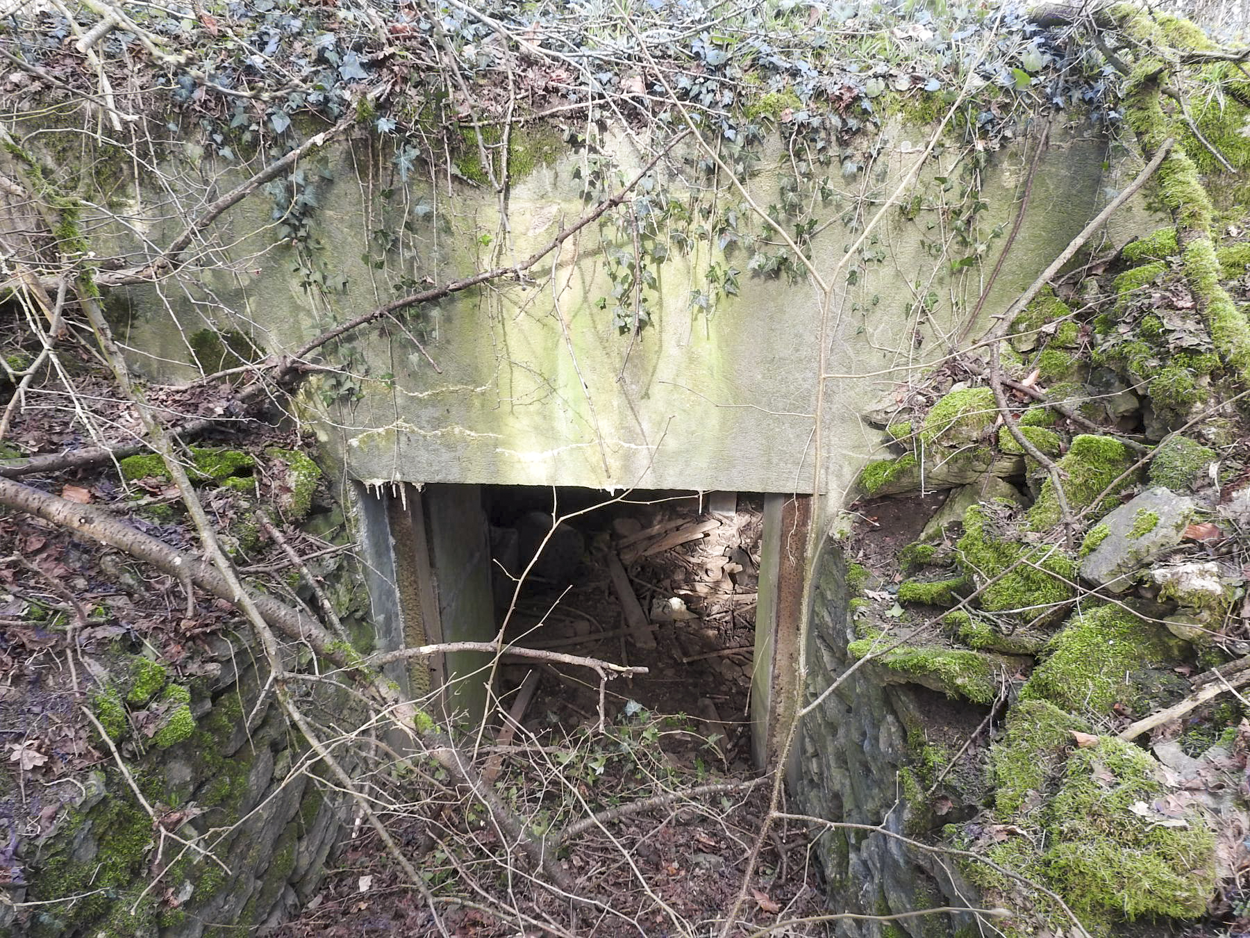Ligne Maginot - VERTH - (Blockhaus pour canon) - L'entrée matériel du blockhaus. - STENGER Mathieu