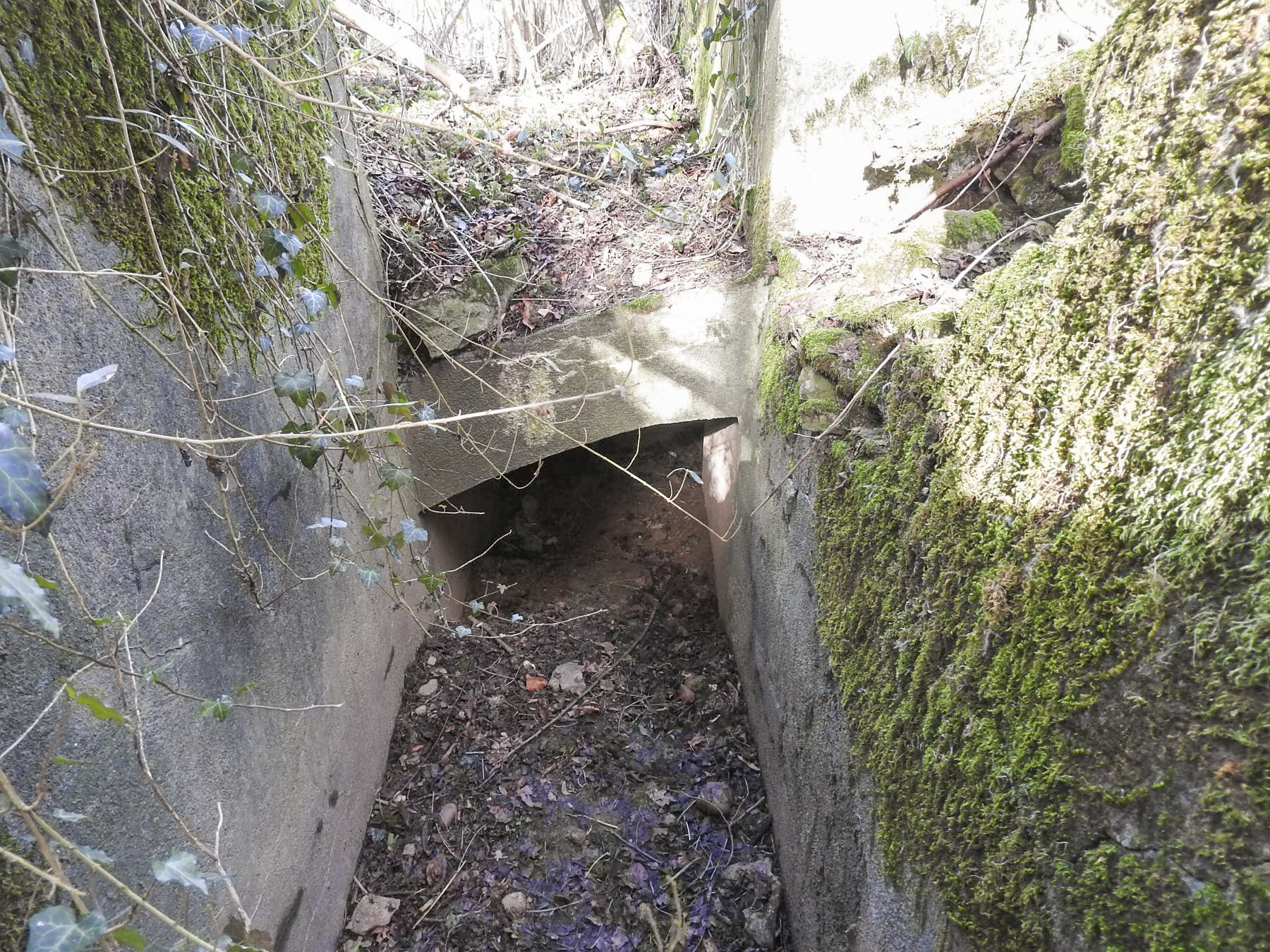 Ligne Maginot - VERTH - (Blockhaus pour canon) - L'entrée du passage vouté vers l'entrée hommes et la chambre de tir pour FM. - STENGER Mathieu