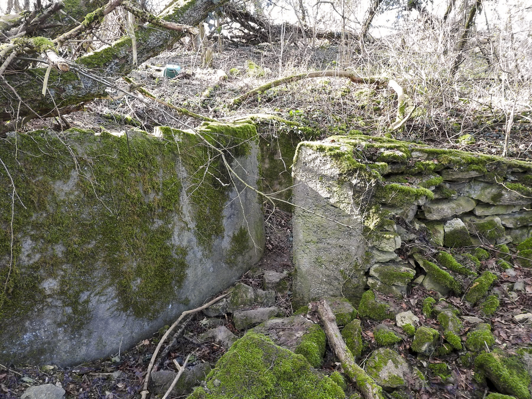 Ligne Maginot - VERTH - (Blockhaus pour canon) - Une tranchée d'accès au blockhaus bétonnée. - STENGER Mathieu