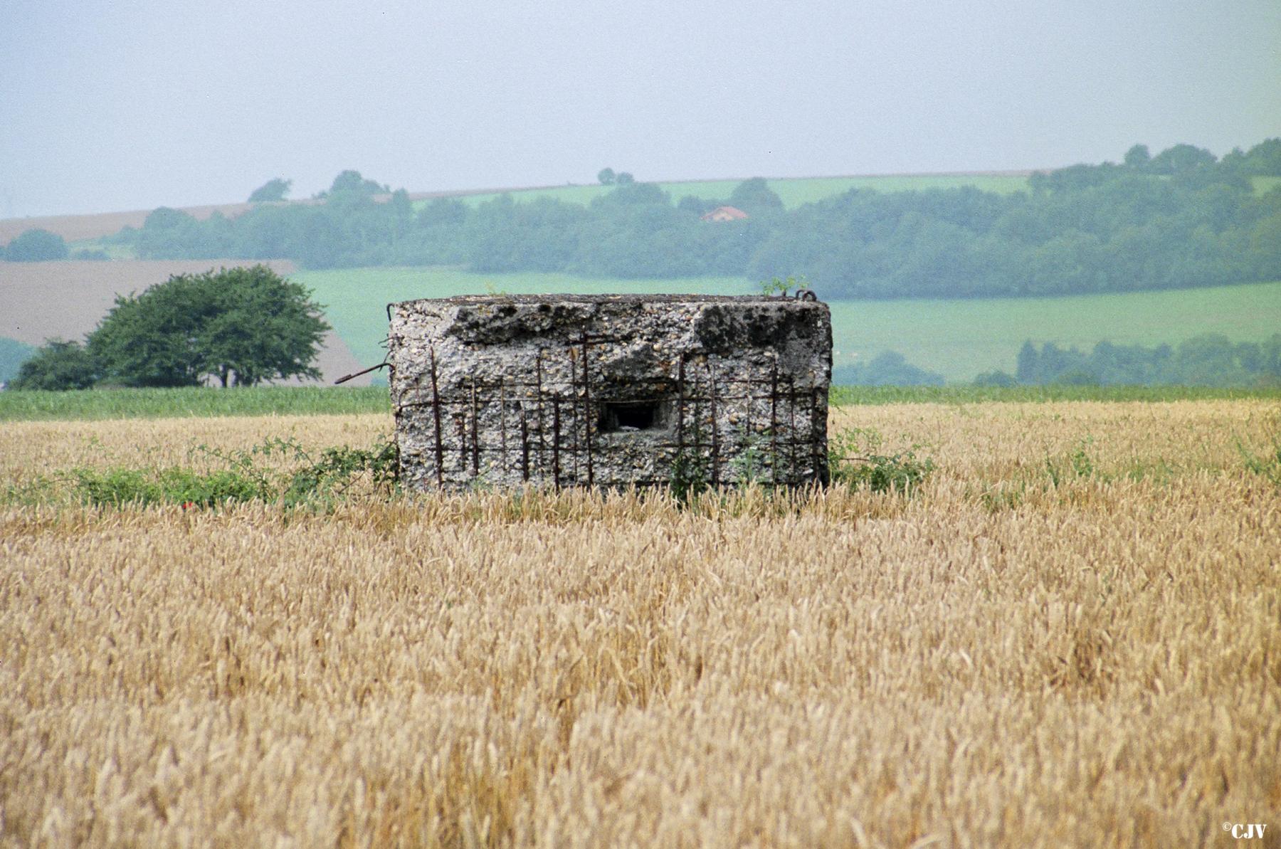Ligne Maginot - WITZ 1 (Blockhaus pour arme infanterie) -  - Lia VERMEULEN
