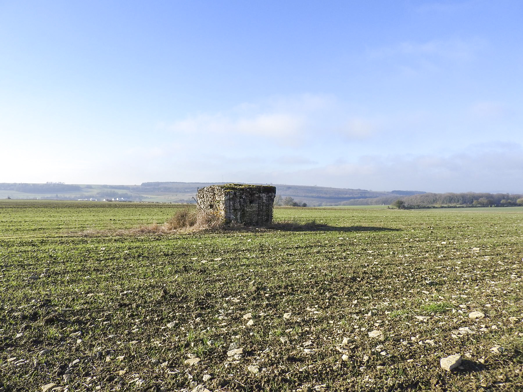 Ligne Maginot - WITZ 1 - (Blockhaus pour arme infanterie) - Le blockhaus pour FM. - STENGER Mathieu