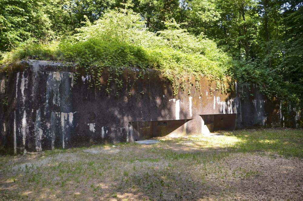 Ligne Maginot - 111 - BETTLACH NORD - (Casemate d'infanterie - Double) - Façade sud - D. Froehly