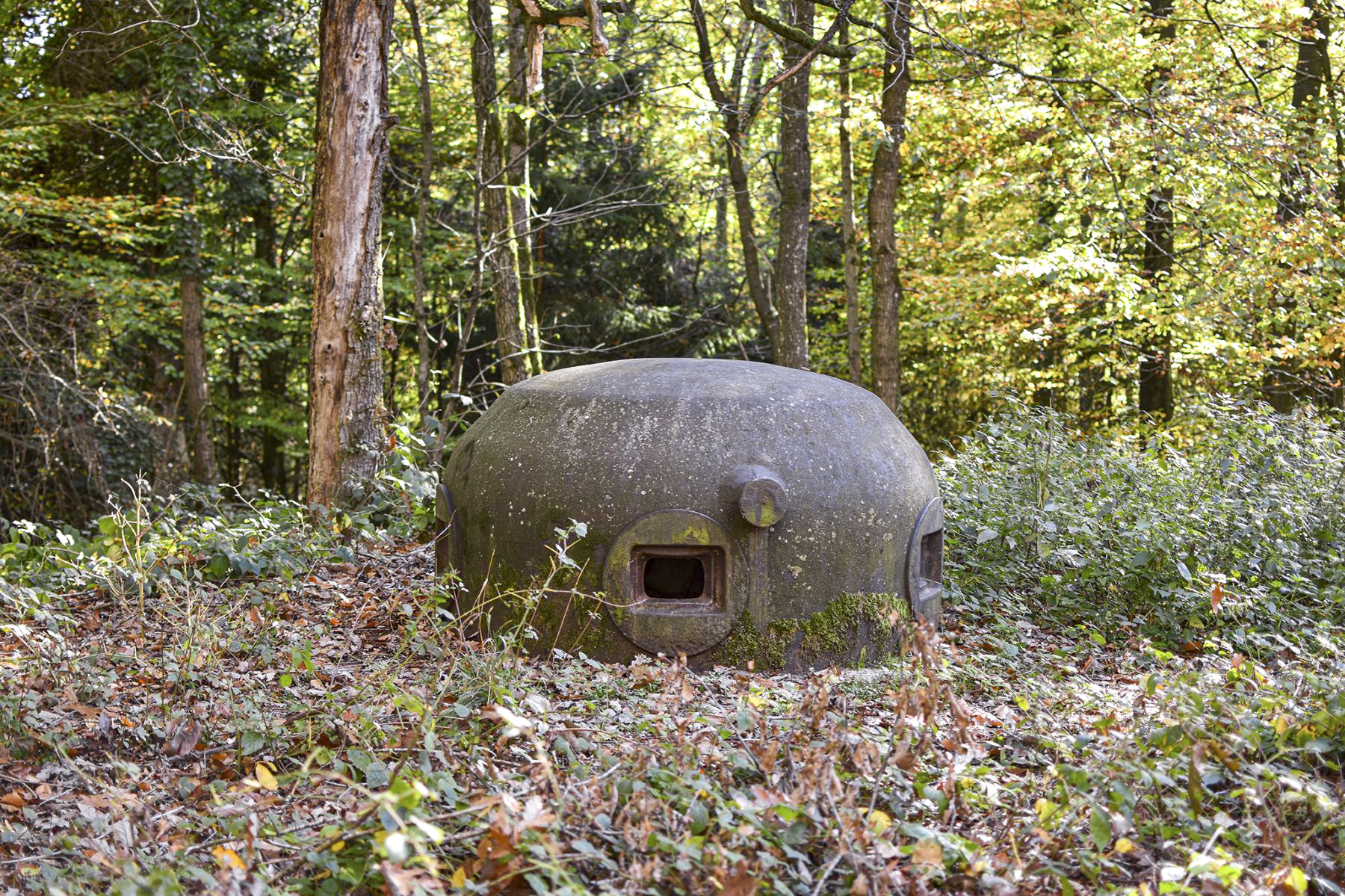 Ligne Maginot - 111 - BETTLACH NORD - (Casemate d'infanterie - Double) -  - David Palmer