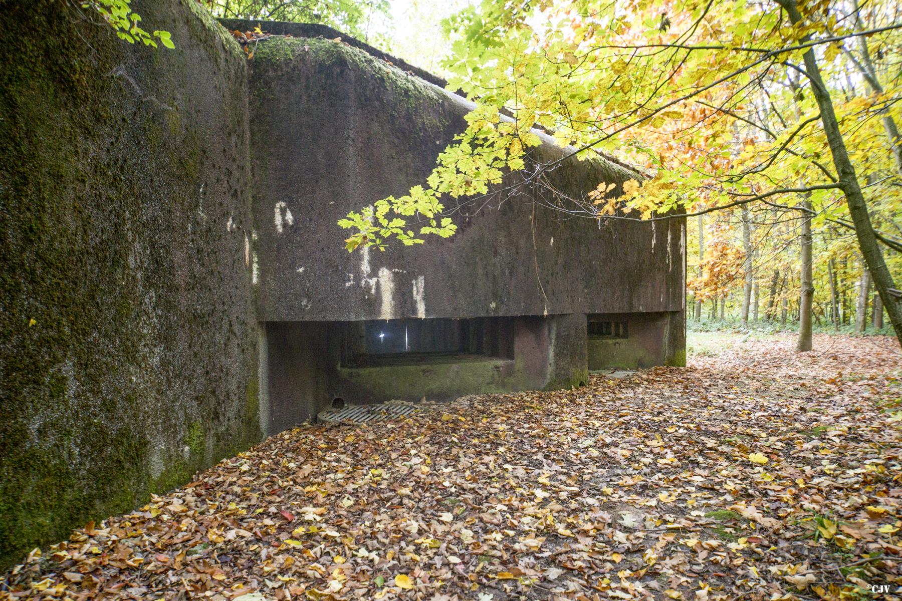Ligne Maginot - 111 - BETTLACH NORD - (Casemate d'infanterie - Double) - Façade nord - Lia VERMEULEN
