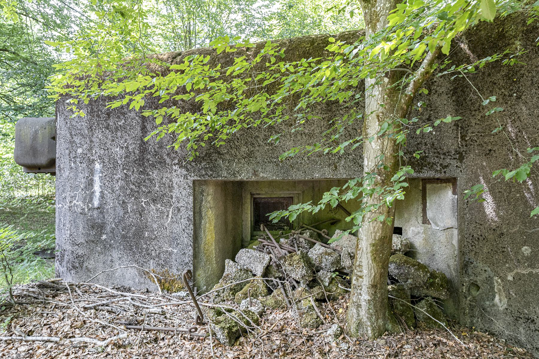 Ligne Maginot - GRUNENTHAL - C59 - (Casemate d'infanterie - Double) -  - David Palmer