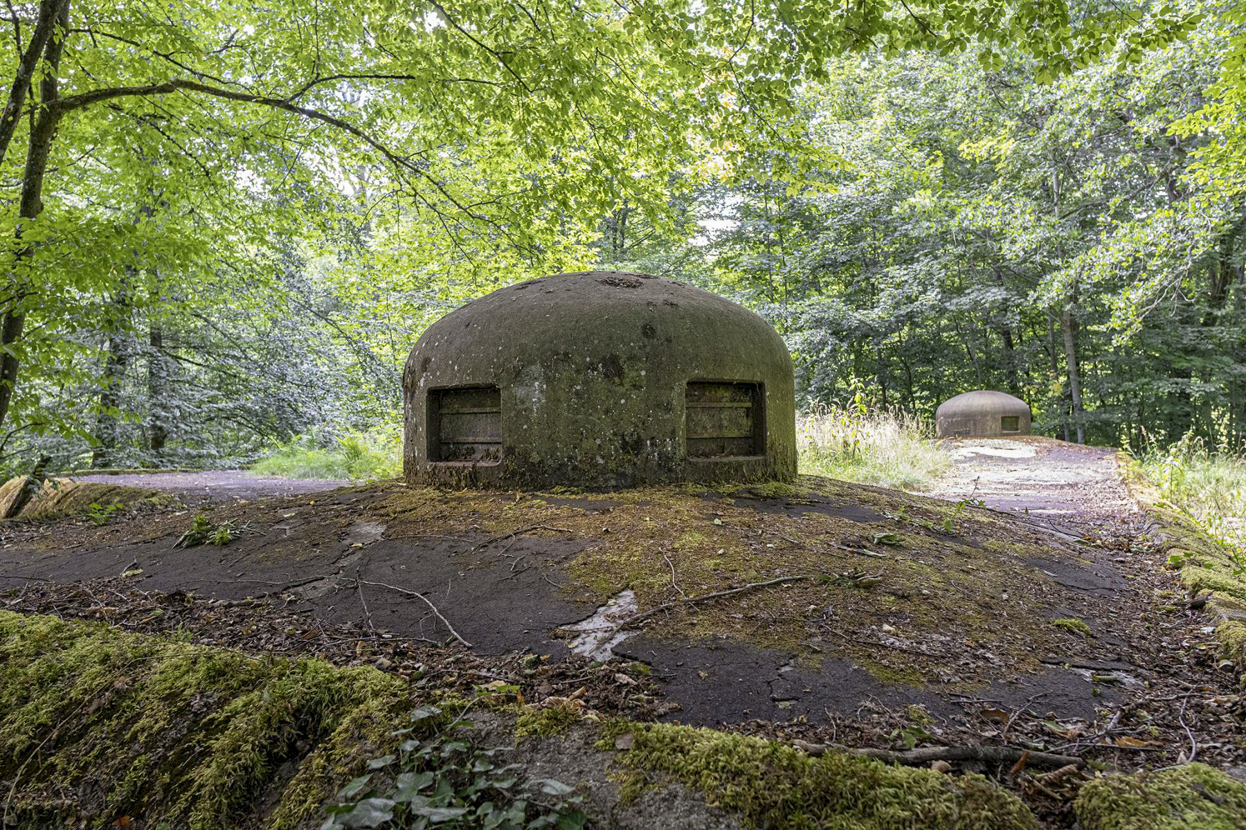 Ligne Maginot - GRUNENTHAL - C59 - (Casemate d'infanterie - Double) -  - David Palmer