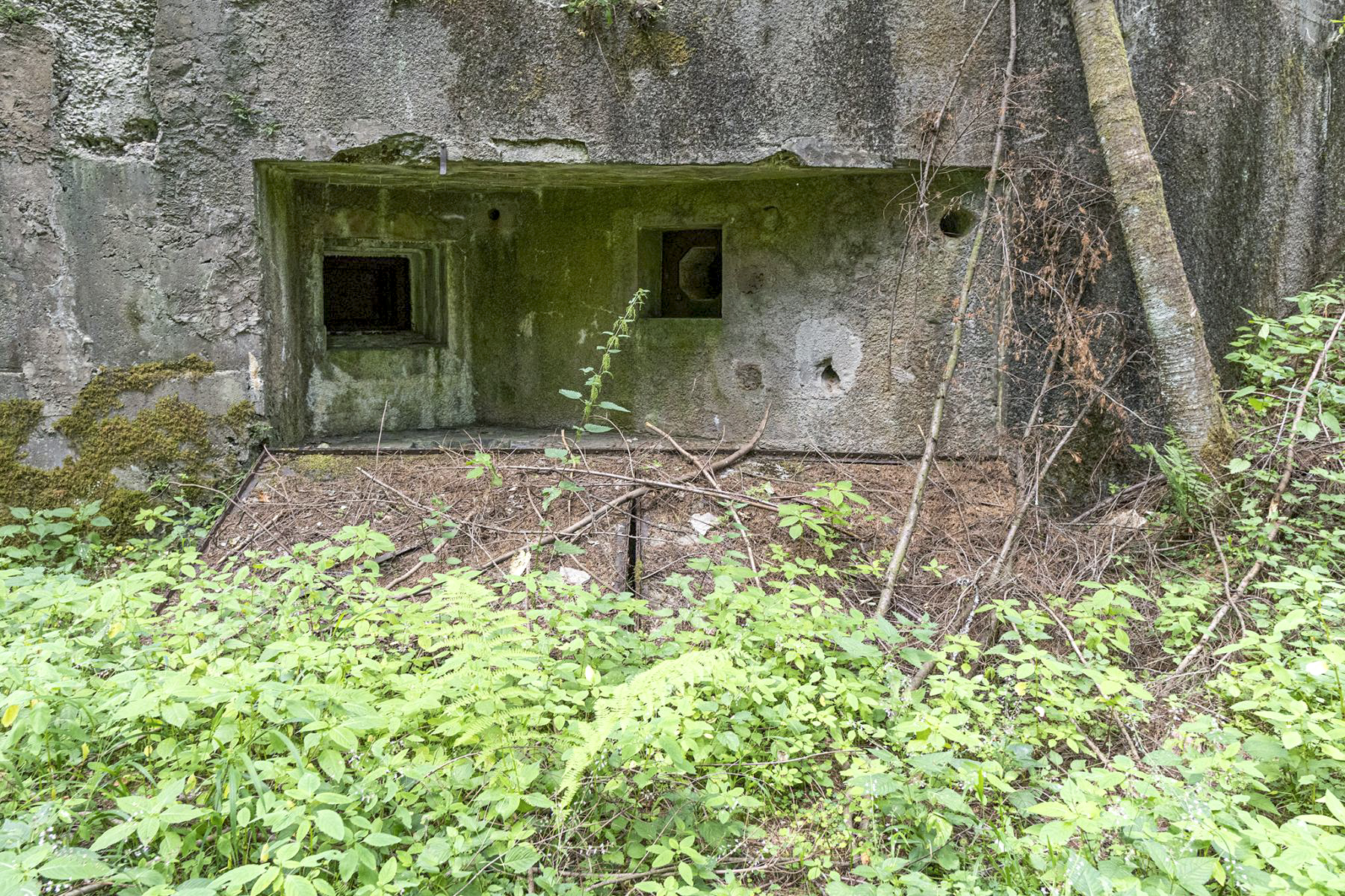 Ligne Maginot - WINECKERTHAL EST - (Casemate d'infanterie - Simple) -  - David Palmer