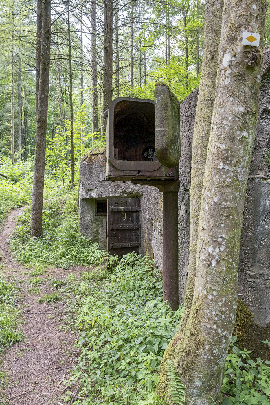 Ligne Maginot - WINECKERTHAL EST - (Casemate d'infanterie - Simple) -  - David Palmer