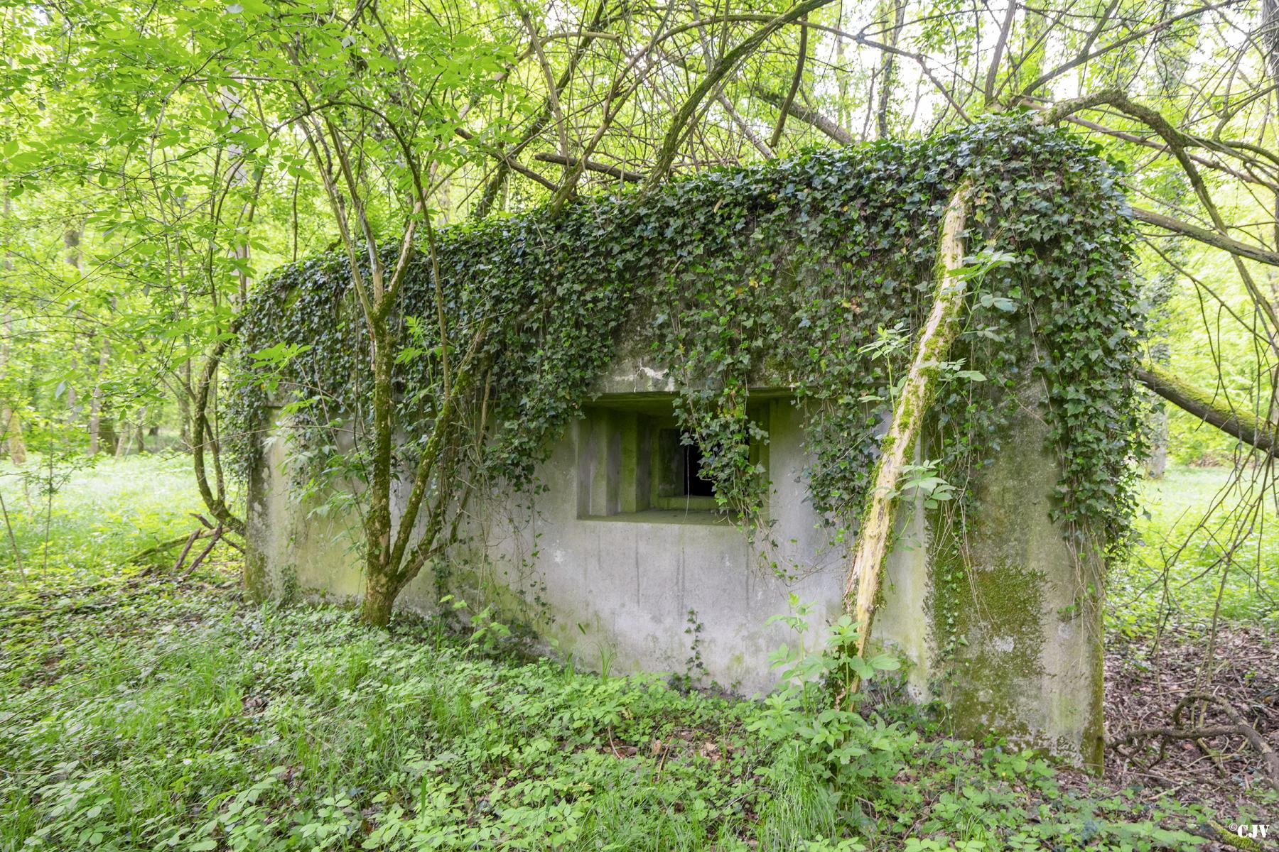 Ligne Maginot - SELTZBACH 2 - (Blockhaus pour canon) -  - Lia VERMEULEN