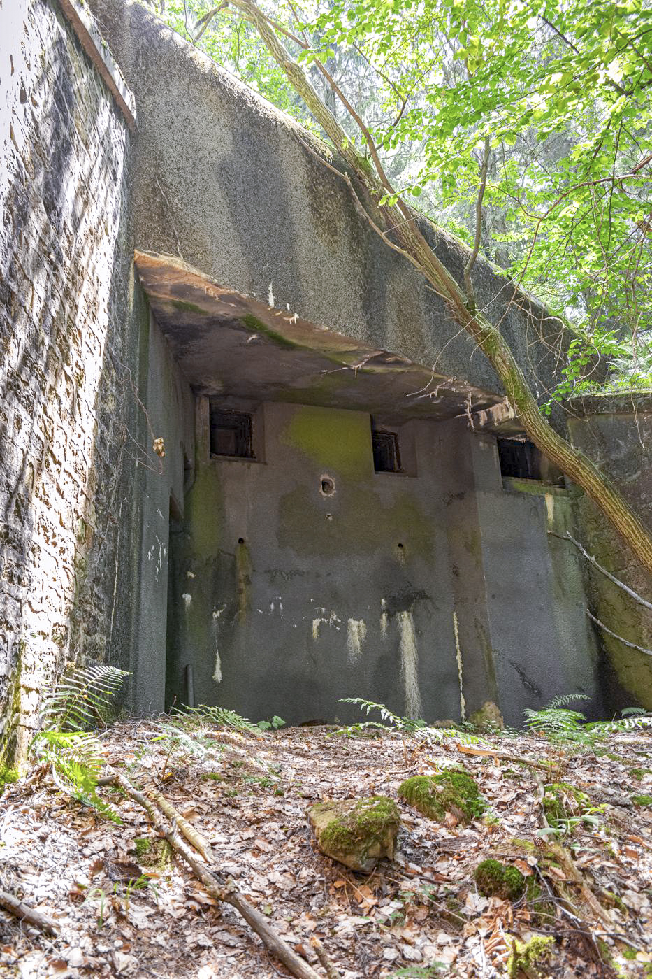 Ligne Maginot - HOCHWALD C3 - (Casemate d'infanterie - Double) - La chambre de tir basse - David Palmer