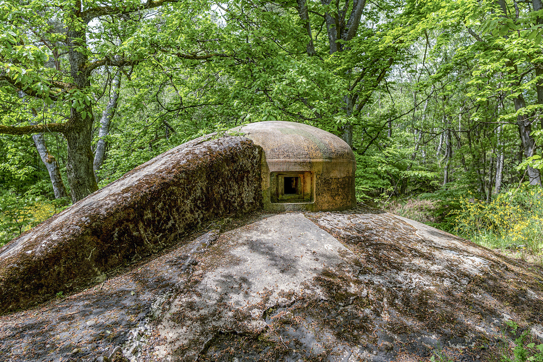 Ligne Maginot - HOCHWALD C5 - (Casemate d'infanterie - Simple) - La cloche GFM - David Palmer