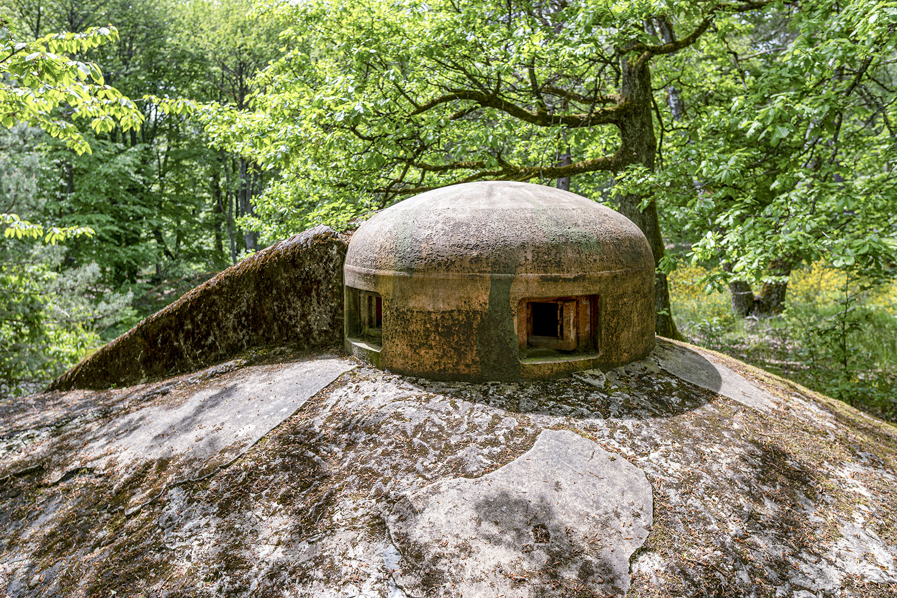 Ligne Maginot - HOCHWALD C5 - (Casemate d'infanterie - Simple) - La cloche GFM - David Palmer