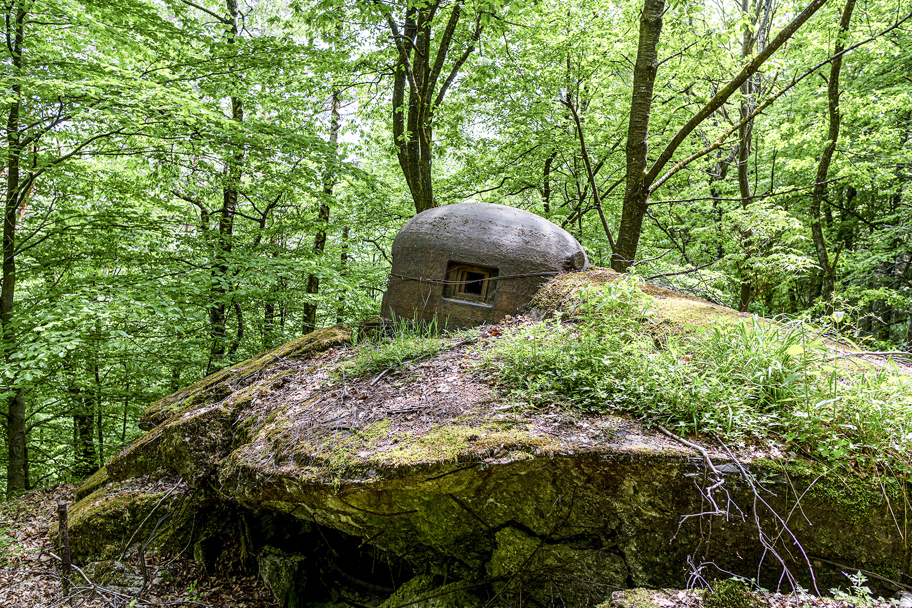 Ligne Maginot - HOCHWALD C6 - (Casemate d'infanterie - Double) - La cloche GFM - David Palmer