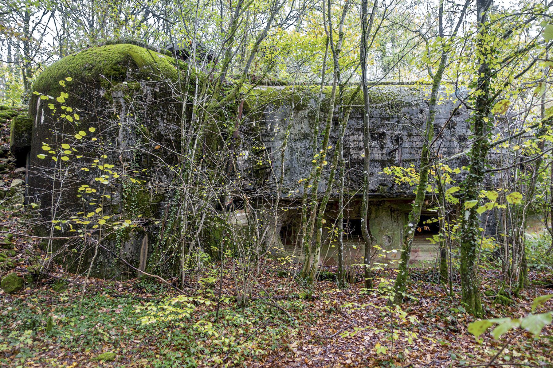 Ligne Maginot - KERFENT - A34 - (Ouvrage d'infanterie) - Bloc 2
Vue générale - David Palmer