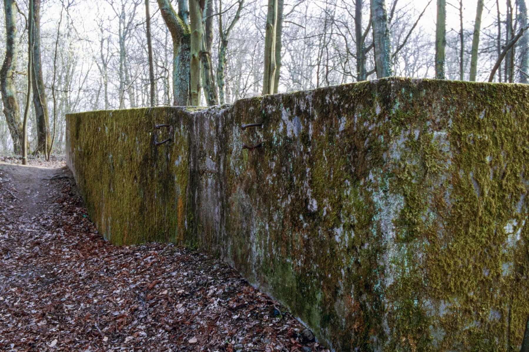 Ligne Maginot - SAINT HUBERT - DéPôT ARRIèRE - (Dépôt de Munitions) - Plateforme pour voie normale 2 - MANSUY Michel