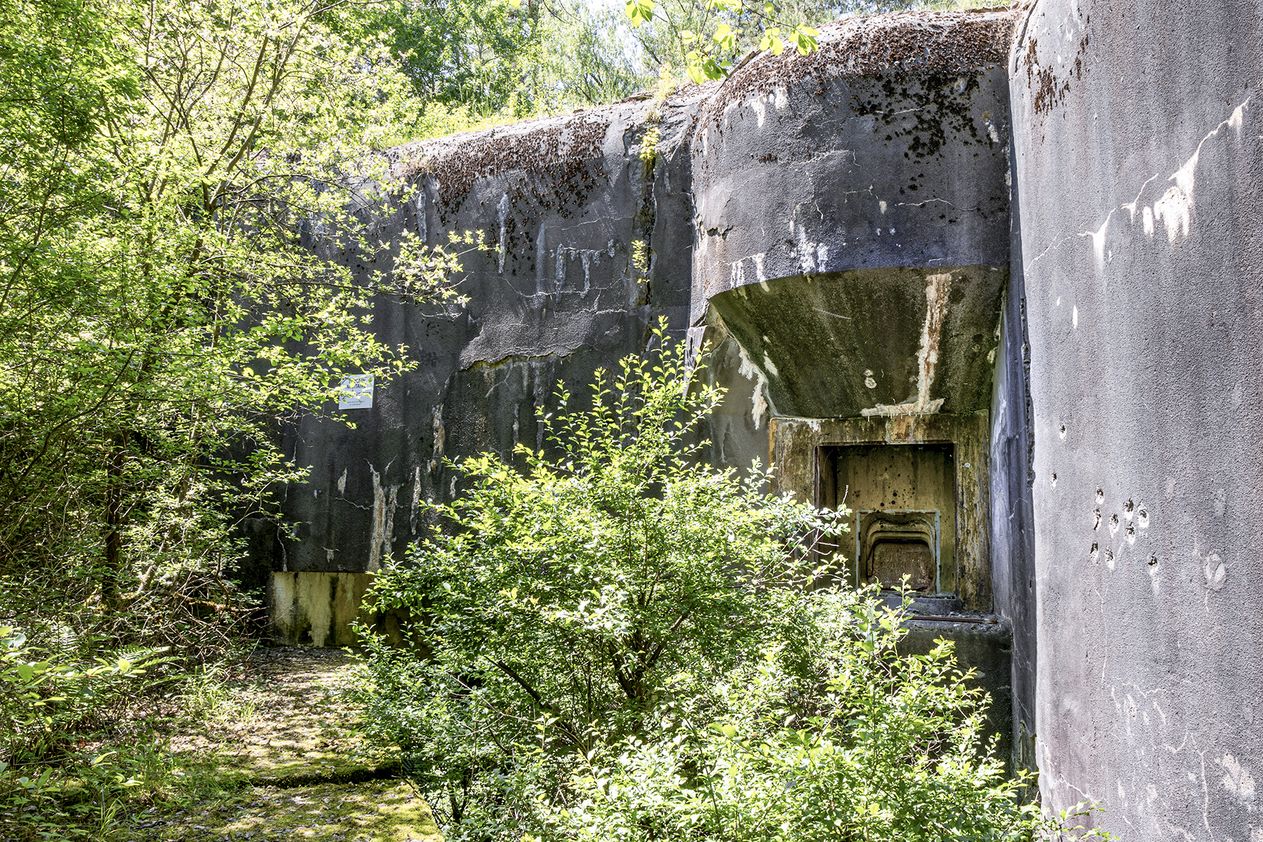 Ligne Maginot - HOCHWALD - (Ouvrage d'artillerie) - Bloc 1 - David Palmer