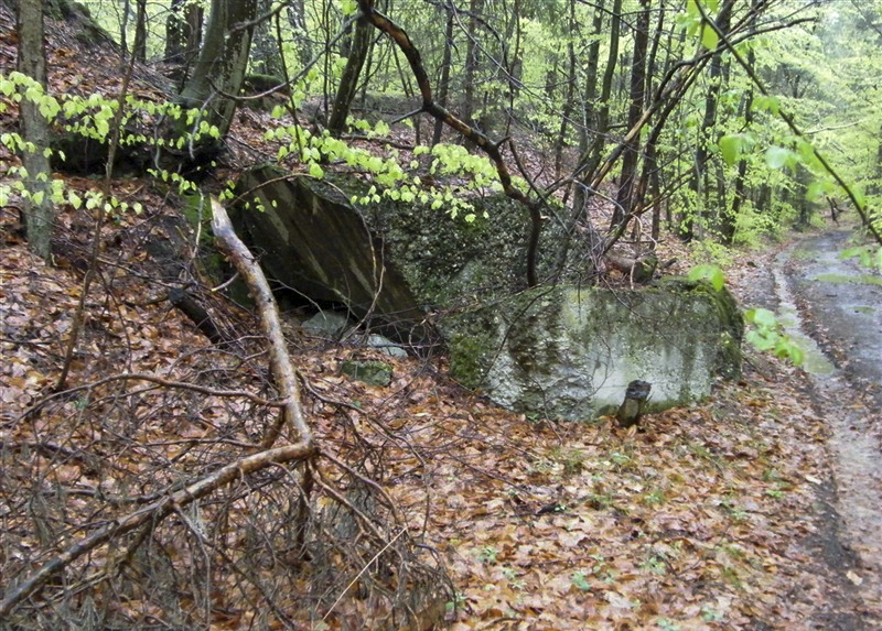 Ligne Maginot - HOCHWALD - RéDUIT - (Ouvrage d'infanterie) - Ruines du blockhaus d'entrée - Jean-Louis AUBLET & Sylvie MAINGUIN
