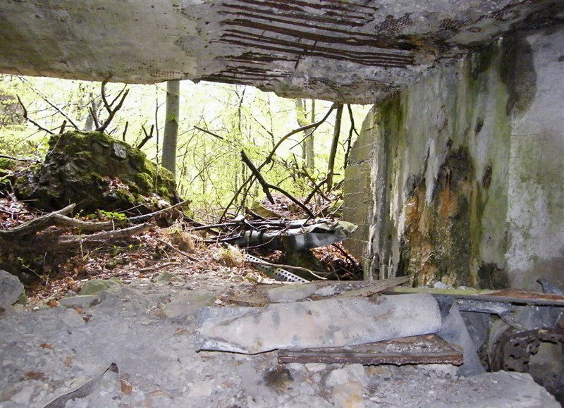 Ligne Maginot - HOCHWALD - RéDUIT - (Ouvrage d'infanterie) - Ruines du blockhaus d'entrée - Jean-Louis AUBLET & Sylvie MAINGUIN