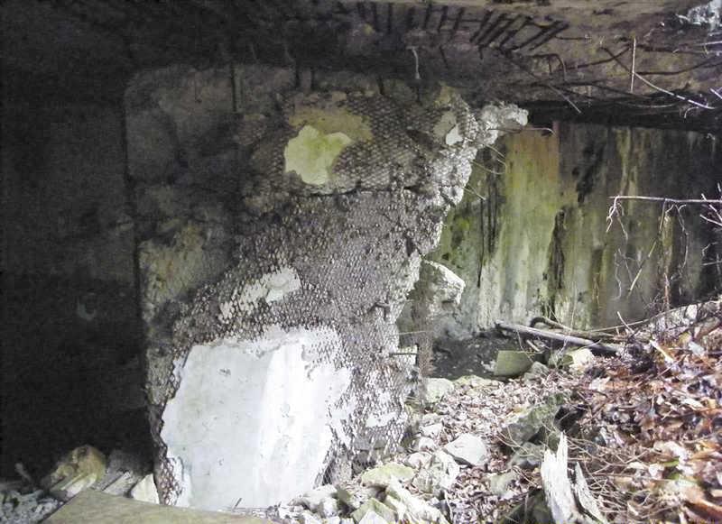 Ligne Maginot - HOCHWALD - RéDUIT - (Ouvrage d'infanterie) - Ruines du blockhaus d'entrée - Jean-Louis AUBLET & Sylvie MAINGUIN