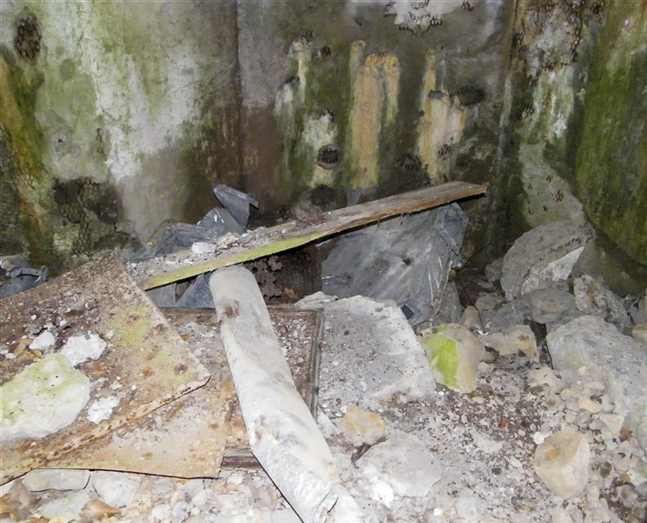 Ligne Maginot - HOCHWALD - RéDUIT - (Ouvrage d'infanterie) - Ruines du blockhaus d'entrée - Jean-Louis AUBLET & Sylvie MAINGUIN