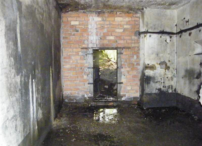 Ligne Maginot - HOCHWALD - RéDUIT - (Ouvrage d'infanterie) - Ruines du blockhaus d'entrée - Jean-Louis AUBLET & Sylvie MAINGUIN