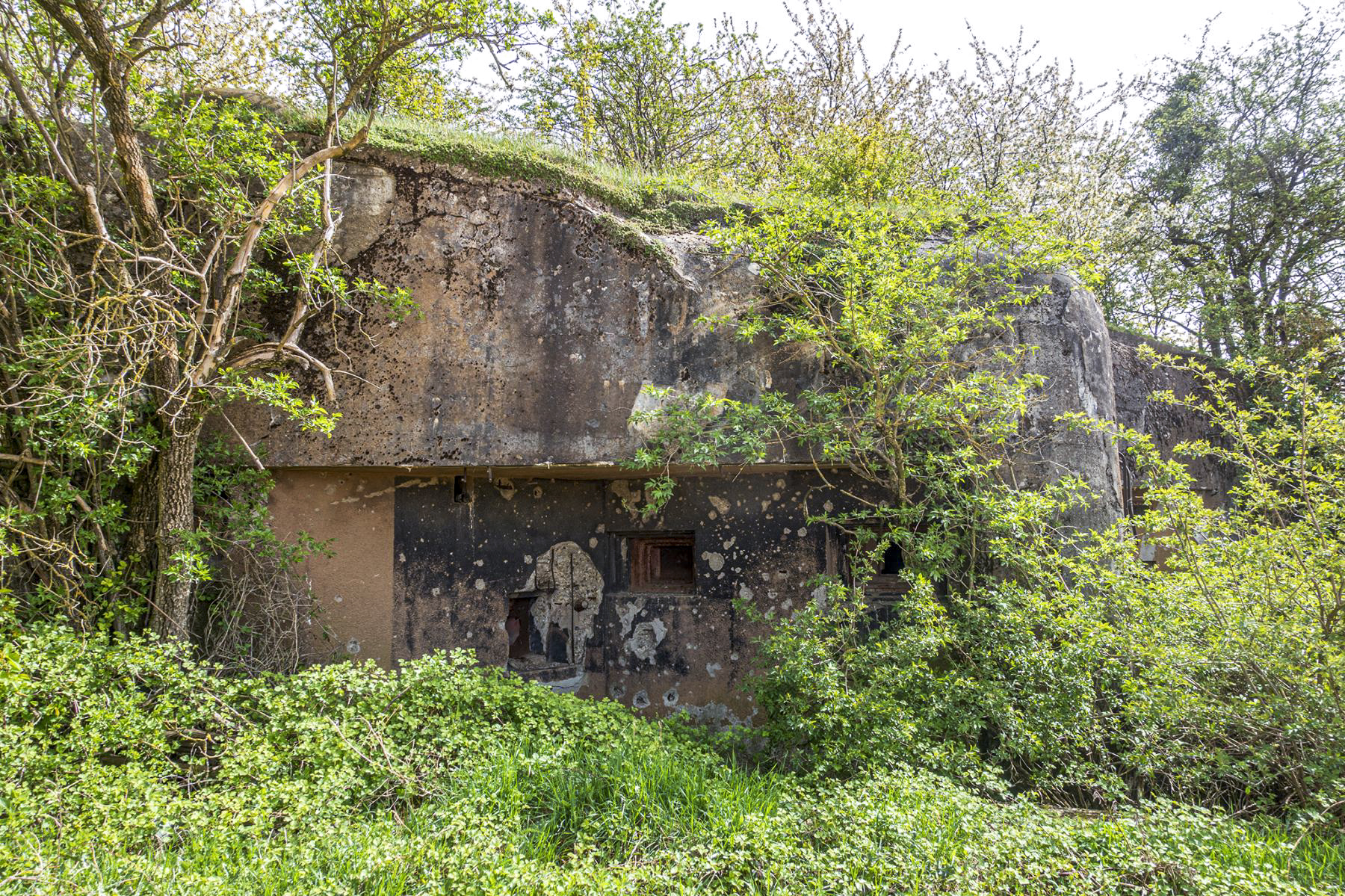 Ligne Maginot - ASCHBACH OUEST - (Casemate d'infanterie - Simple) - Chambre de tir
 - David Palmer