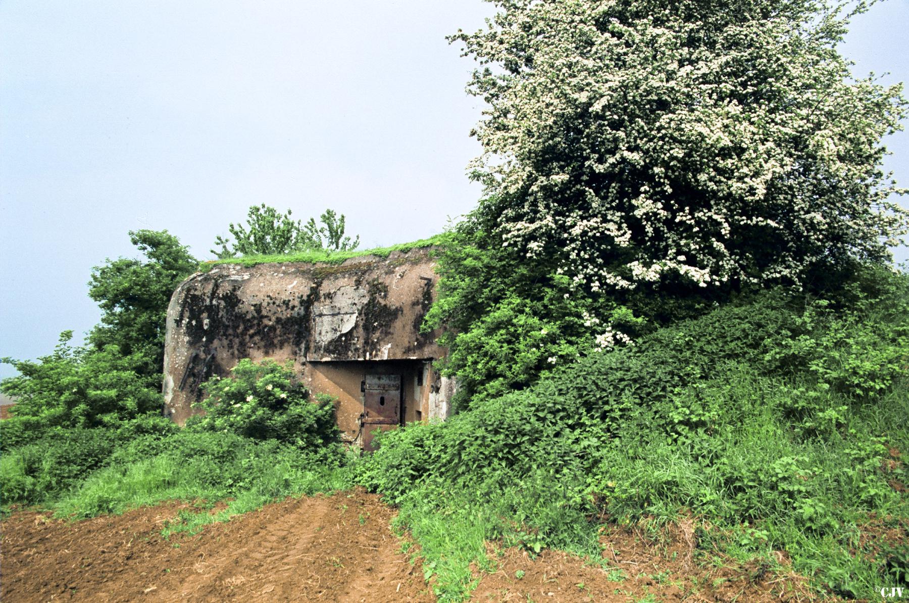 Ligne Maginot - ASCHBACH OUEST - (Casemate d'infanterie - Simple) - Vue vers l'entrée - Lia VERMEULEN