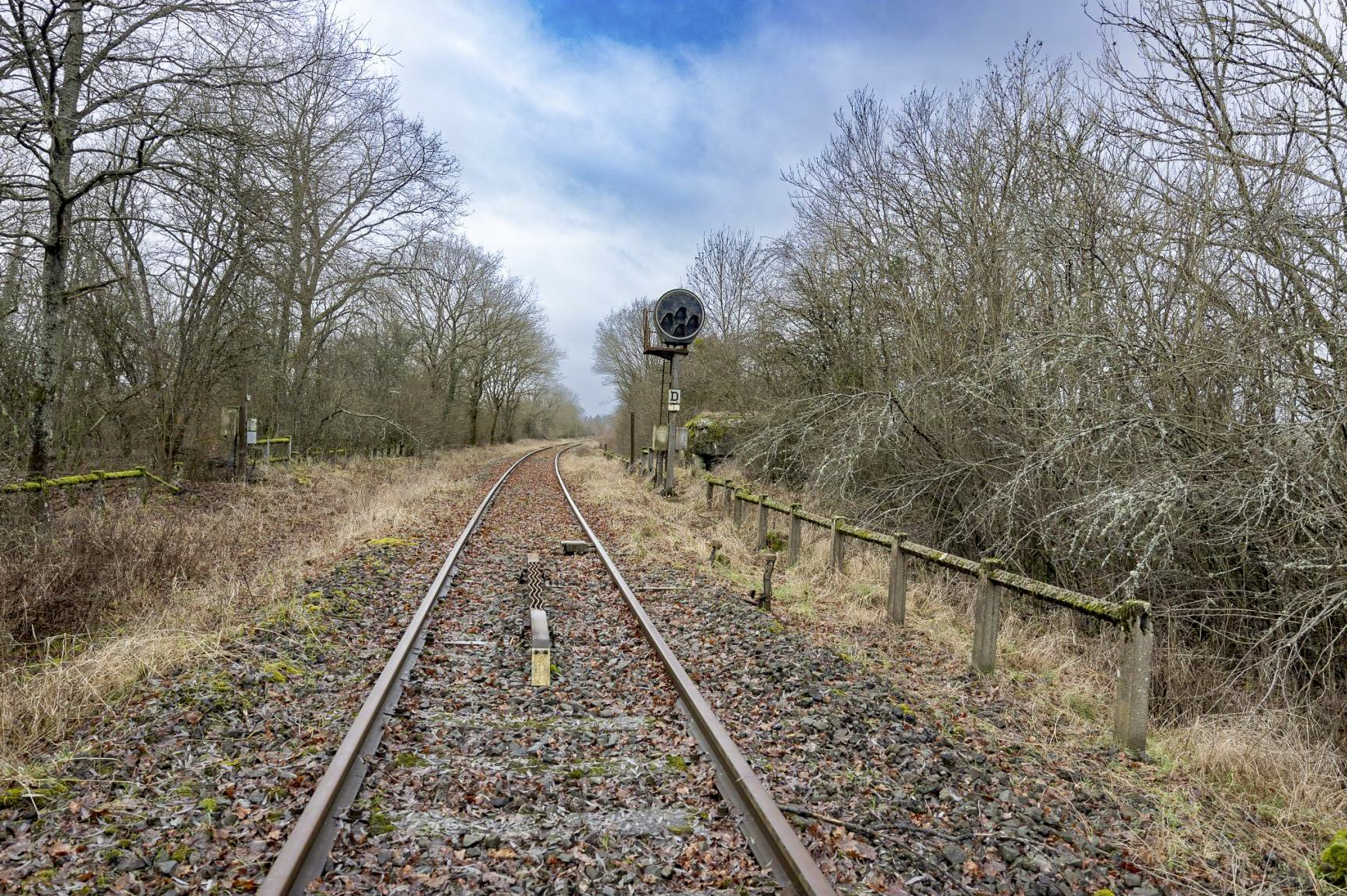 Ligne Maginot - SCHWANDELWALD 1 - (Blockhaus pour arme infanterie) -  - Lenhard Christian