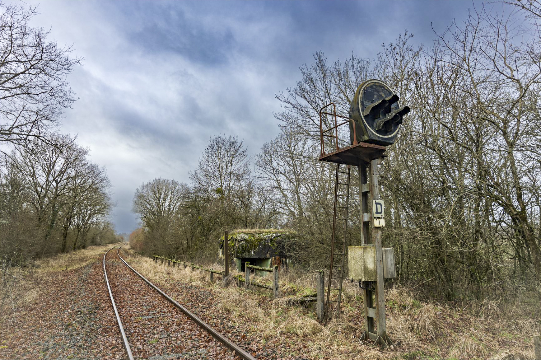 Ligne Maginot - SCHWANDELWALD 1 - (Blockhaus pour arme infanterie) -  - Lenhard Christian