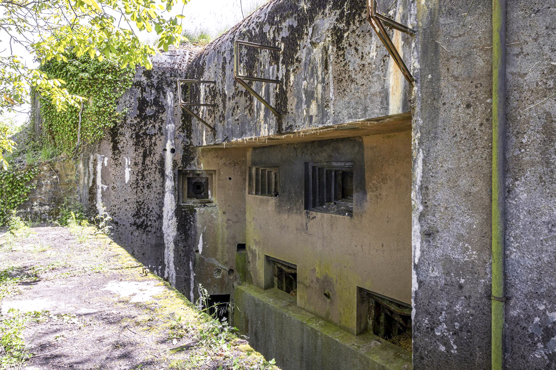 Ligne Maginot - BOIS DE HOFFEN OUEST - (Casemate d'infanterie - Simple) -  - David Palmer